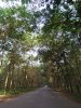 IMG20170618072514.jpg