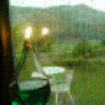 nguyennha1211